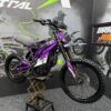 E-Ride Pro SS 3.0