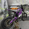 E-Ride Pro SS 3.0